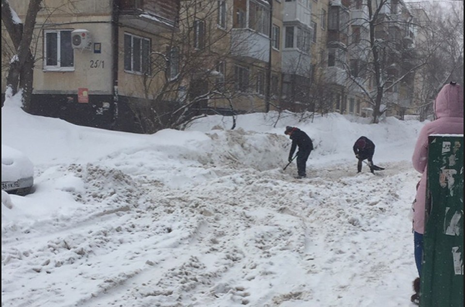 фото: соцсети