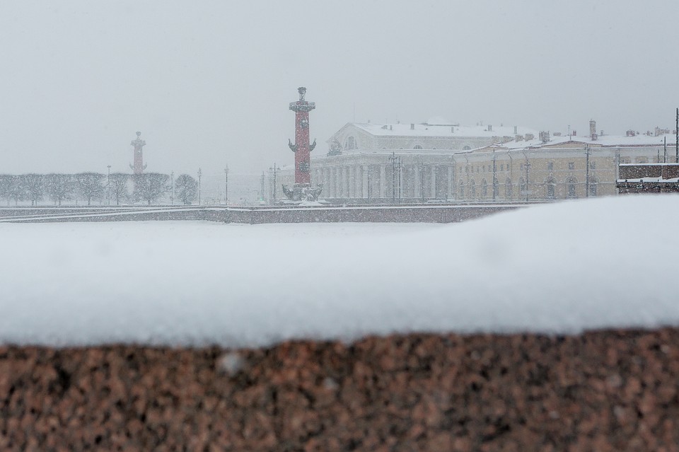 Петербург накрыло снегопадом.