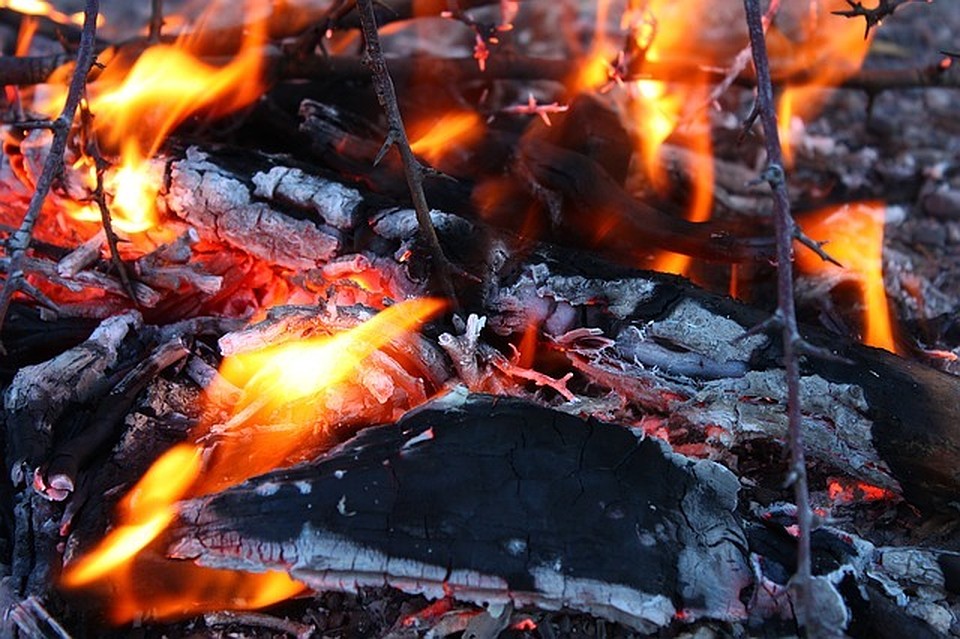 ФОТО: pixabay.com