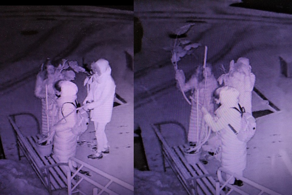 Девушки в два часа ночи вынесли цветы из подъезда. Фото: ГУВД.