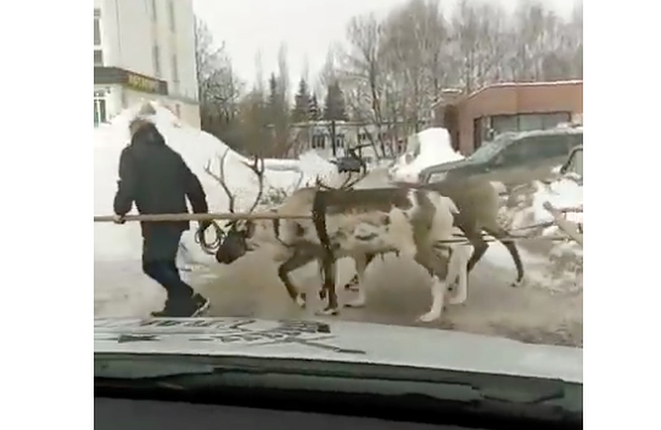 фото: скриншот видео