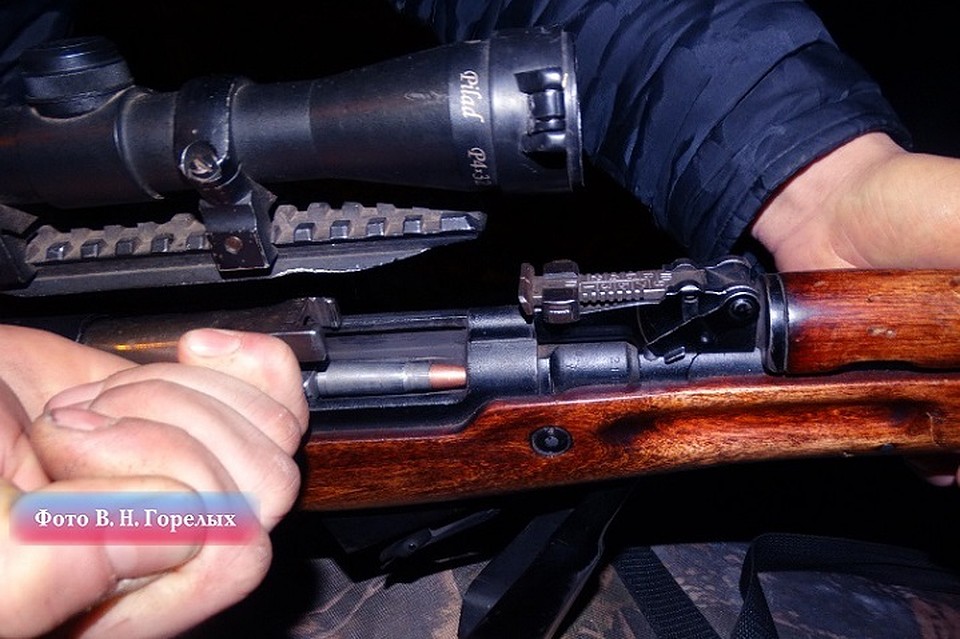 Фото: Валерий Горелых