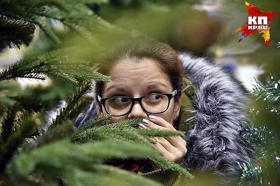 В кузбасском селе местная жительница незаконно рубила ели