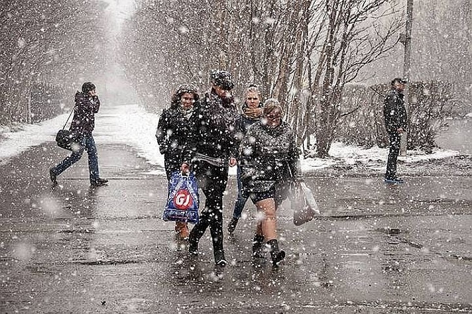 Фото: Елена КОВАЛЕНКО