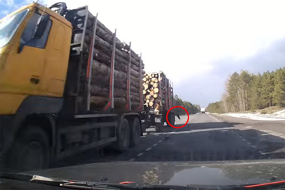 Фото: кадр видео / Светлогорский Автоканал