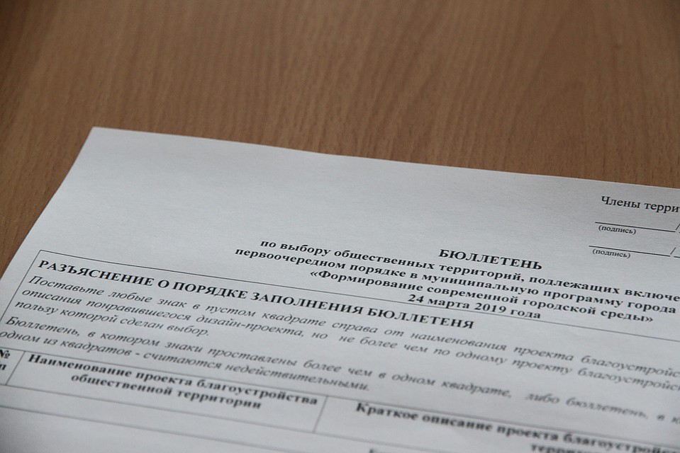 Возглавлять список будут те парки и скверы, что набрали максимальное количество голосов горожан. Фото: пресс-служба Брянского городского Совета народных депутатов