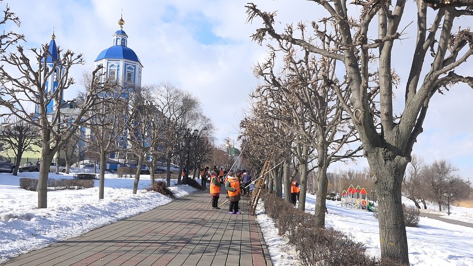 Фото: информационное управление администрации Тамбова