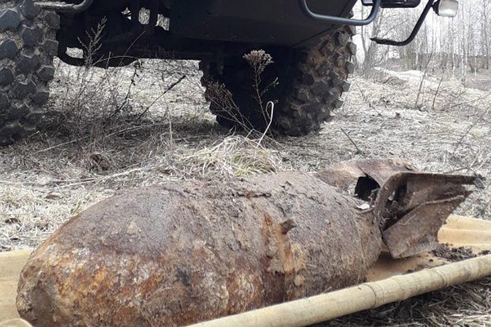Стокилограммовую бомбу нашли в лесу недалеко от Витебска. Фото: УВД.