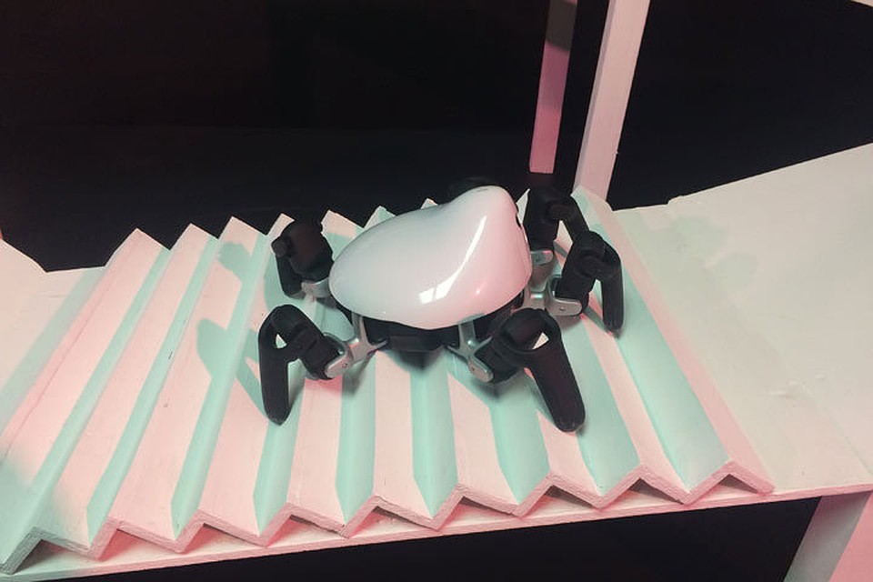 INNOVATIC FEST ROBOSHOW