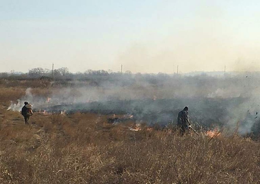 Крупный пал в Муравьевском заказнике тушили «всем миром». Фото: instagram.com/ohotaamur