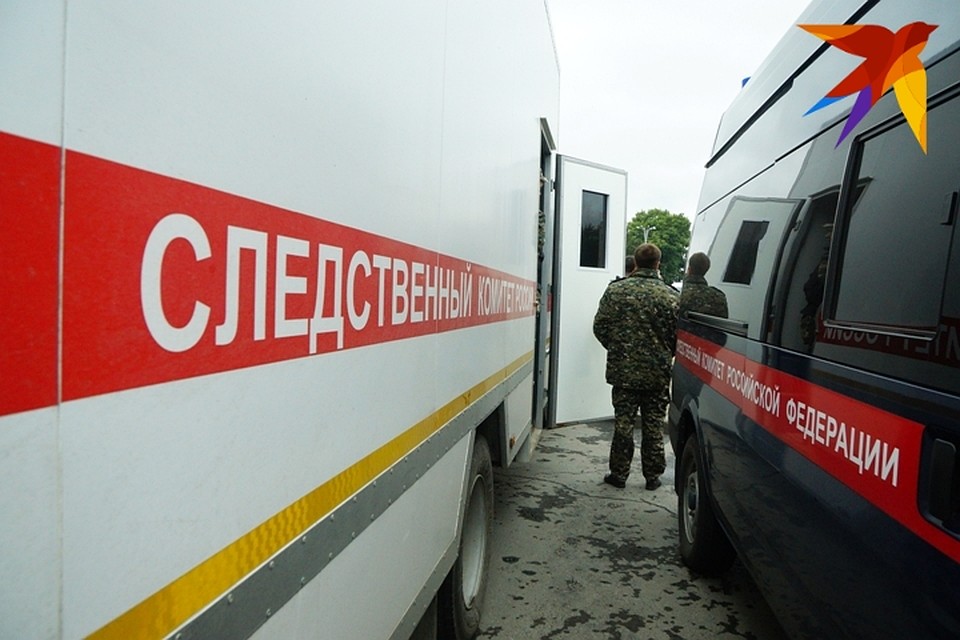 Во время доследственной проверки правоохранители дадут правовую оценку качества оказания ребенку медицинской помощи.
