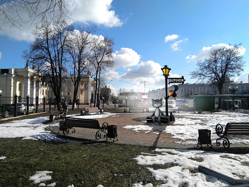 Еще один Котенок с улицы Лизюкова может появиться у вокзала "Воронеж-1".