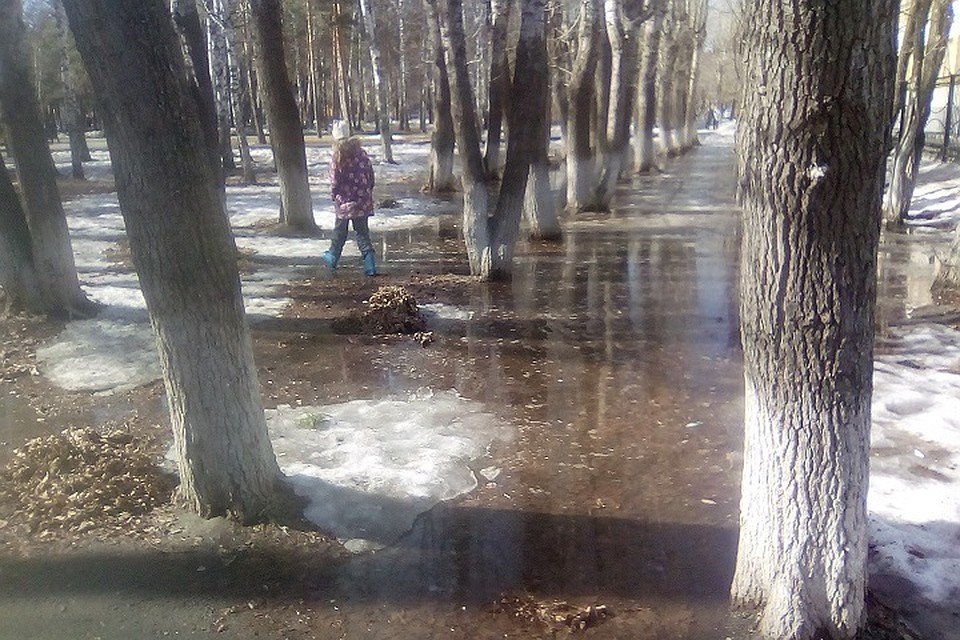 Куда обращаться тюменцам, если улицу затопили талые воды