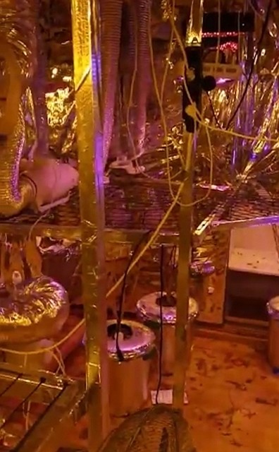 Фото: пресс-служба УМВД России по Приморскому краю.