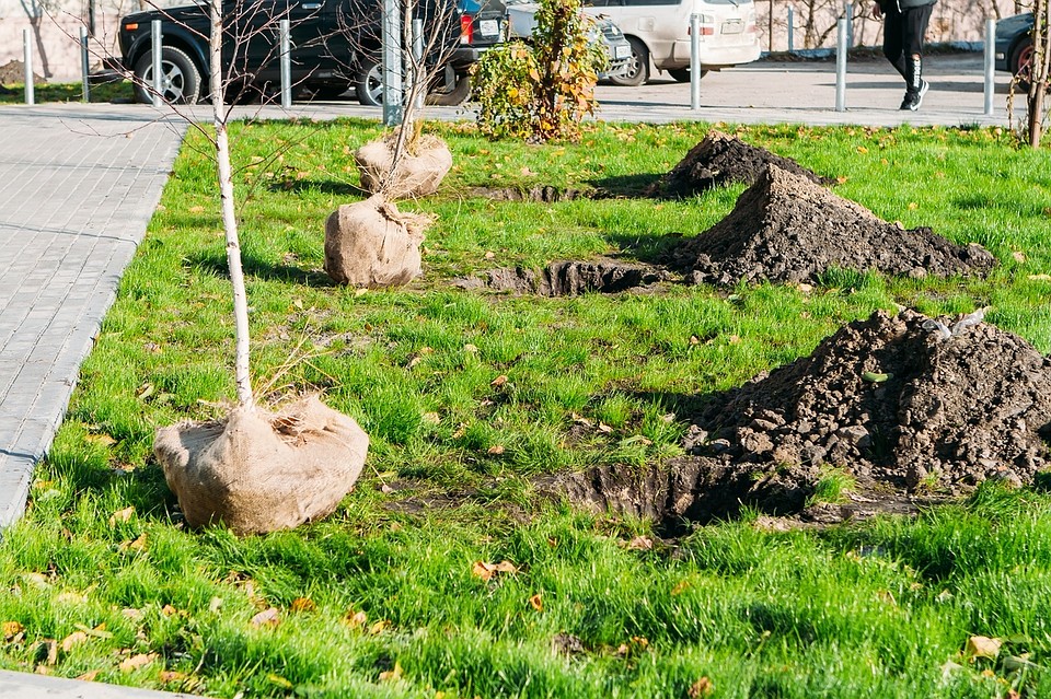Фото пресс-службы администрации города Тюмени