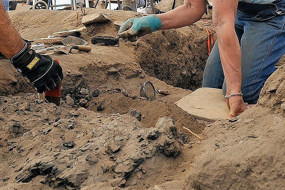 Археологи в ходе раскопок обнаружили новый вид людей