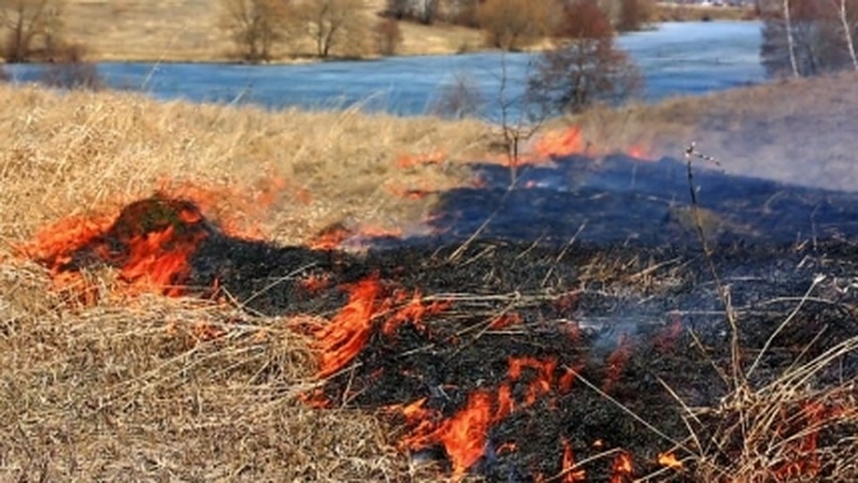 Тюменские пожарные находят поджигателей сухой травы и мусора. Фото ГУ МЧС по Тюменской области