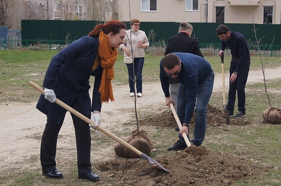 Горожане озеленяют территорию.