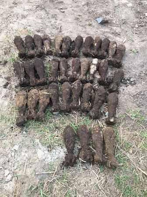 В регионе и спустя 74 года после жестоких боев находят снаряды и мины. Фото пресс-службы Главного управления МЧС России по Белгородской области.