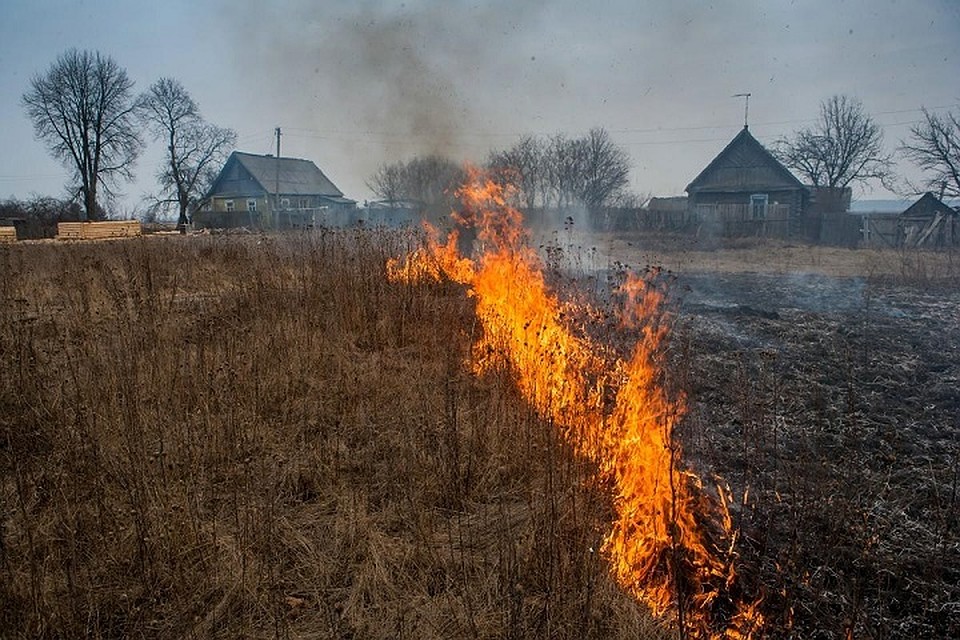 Женщина сжигала сухую траву у дачи, и погибла