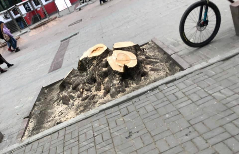 Фото: взято с личной страницы Елены Ивановой в Facebook