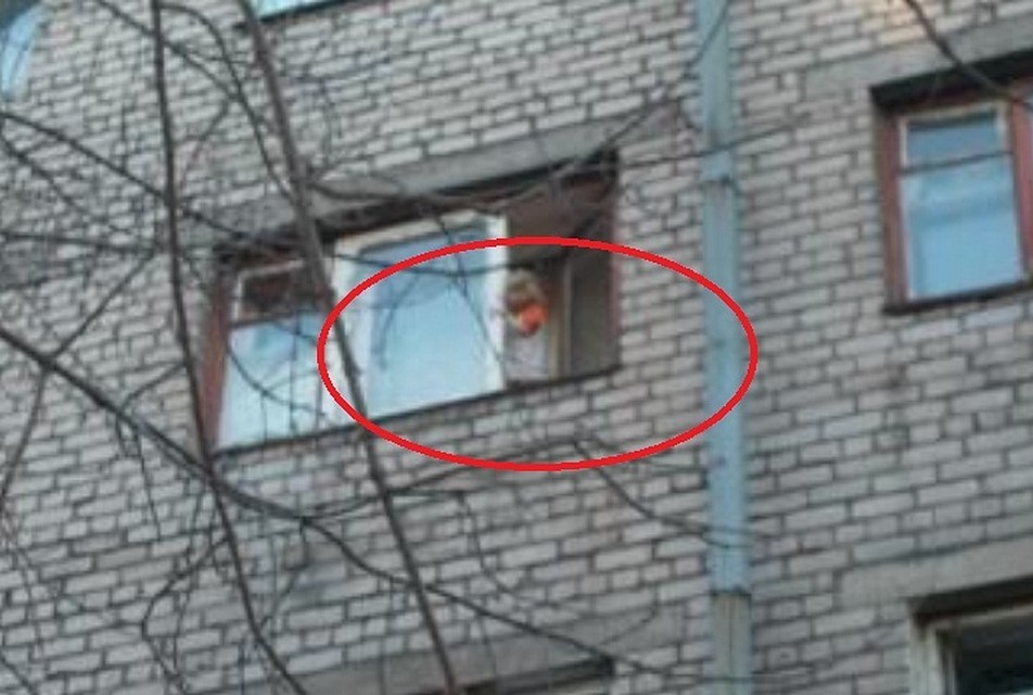 Фото предоставлено пресс-службой Управления МЧС по Вологодской области.