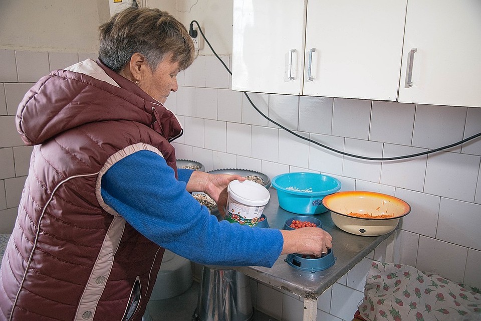 В питомнике работает небольшой штат сотрудников