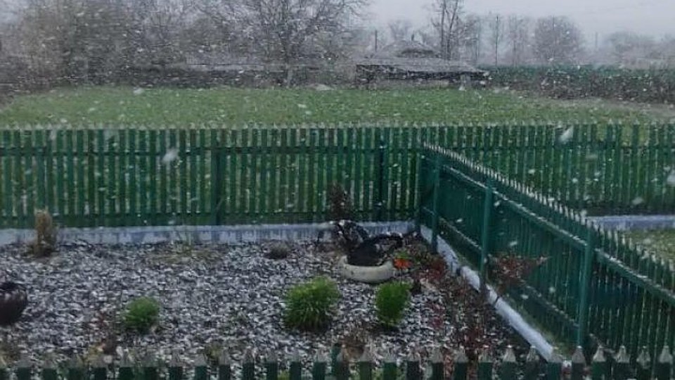 На севере Молдовы утром шел снег.