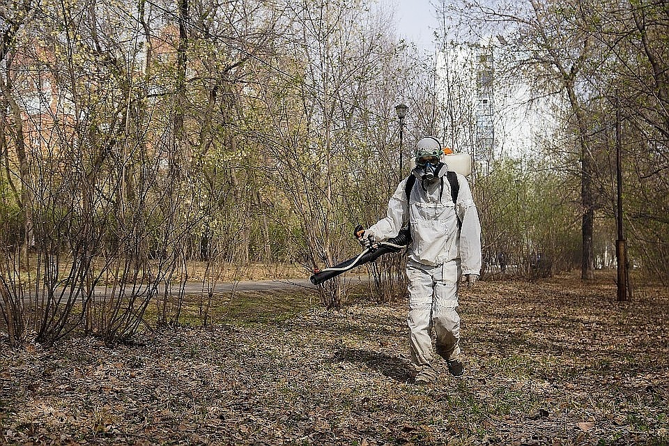 До конца мая все парки и скверы в Нижнем Новгороде обработают от клещей.