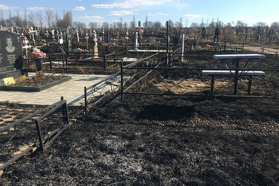 Пал сухой травы привел к пожару на кладбище
