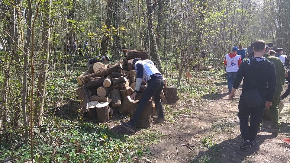 Заготовка дров в парке на Гагарина
