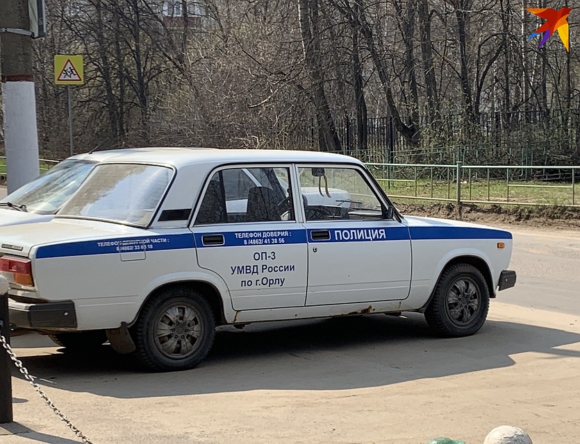 В Орле прохожие помогли задержать грабителя