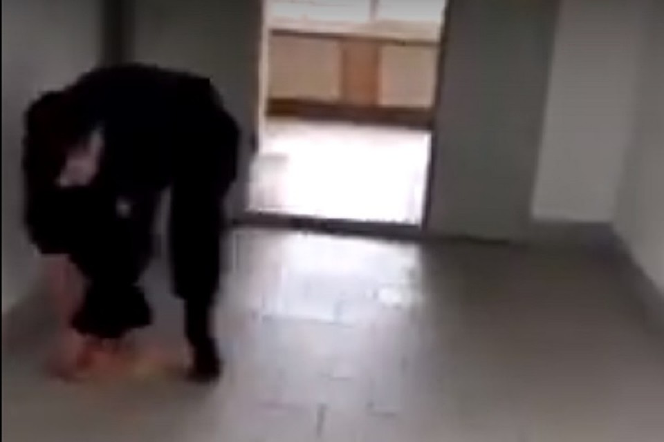 Охранник вуза в Петербурге ударил беременную кошку на глазах у студента Фото: скрин с видео