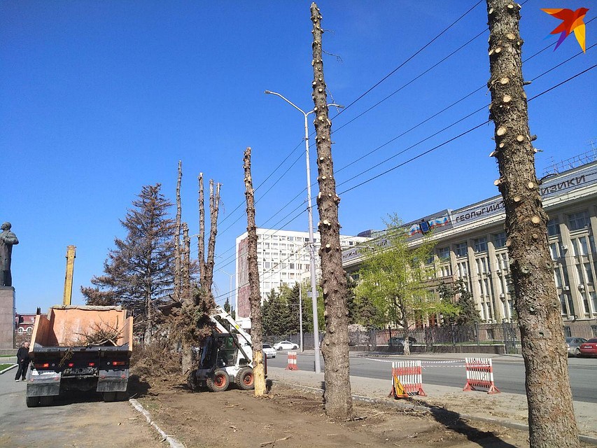 Фото: Александр Вольный