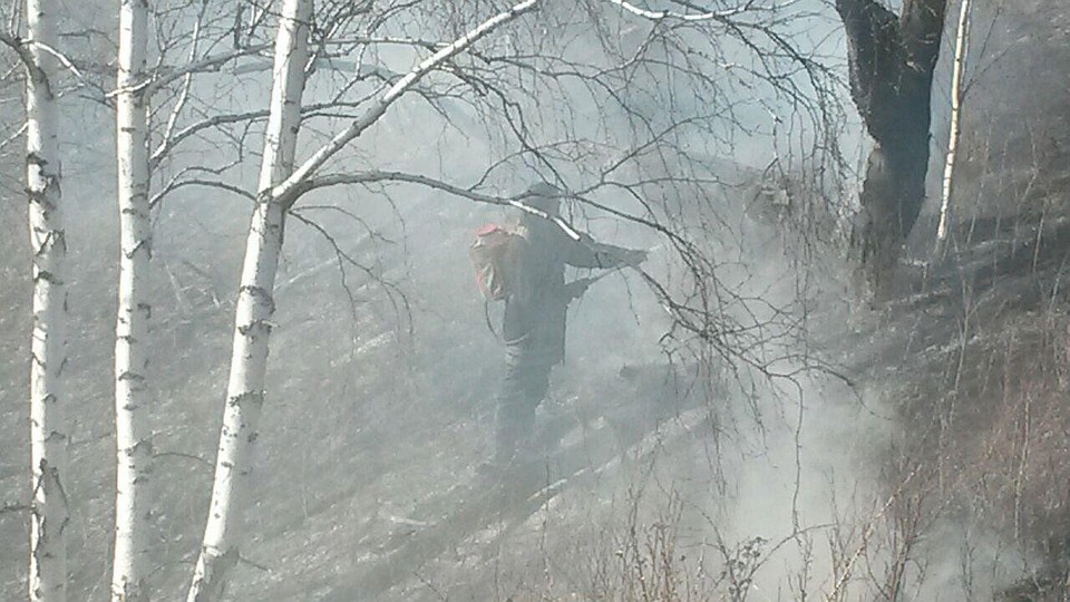 Три тысячи квадратов сухой травы полыхают под Красноярском.