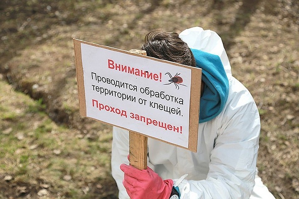 Для посещения будут закрыты два кладбища и часть территории ДВФУ