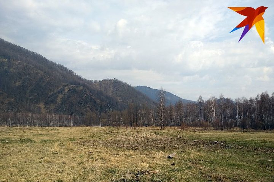 Вместе с майскими праздниками в прошлое ушла и теплая солнечная погода.