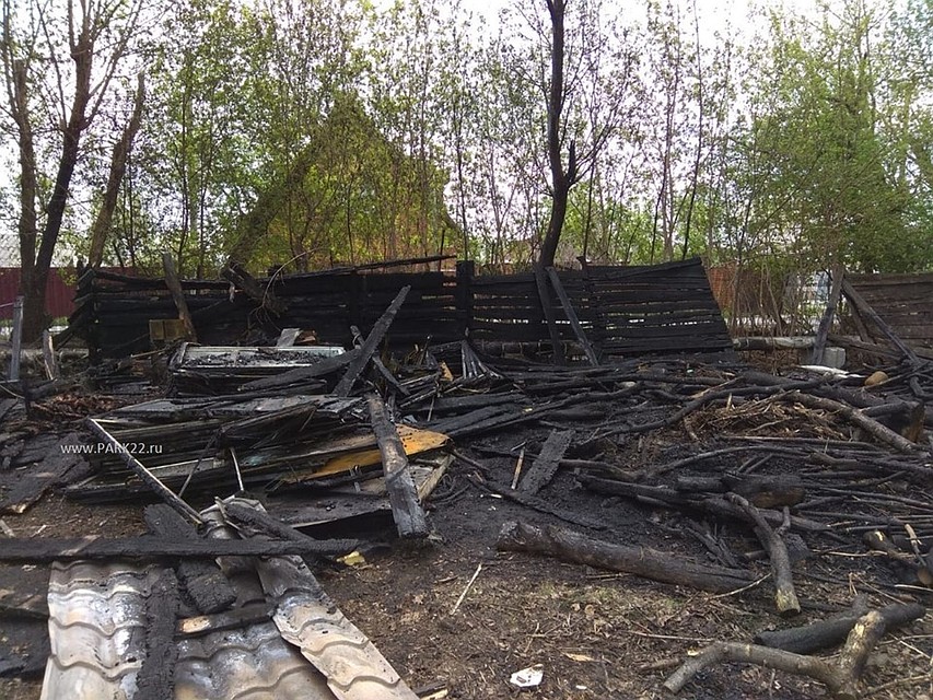 Фото: пресс-служба парка Изумрудный