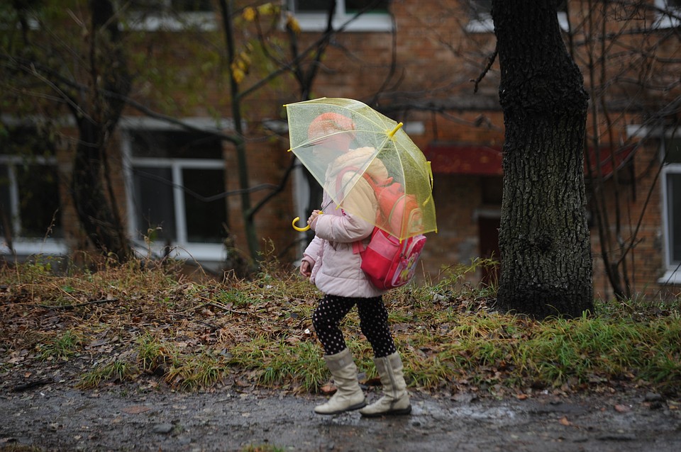 В Приморье сегодня небольшой, местами умеренный дождь