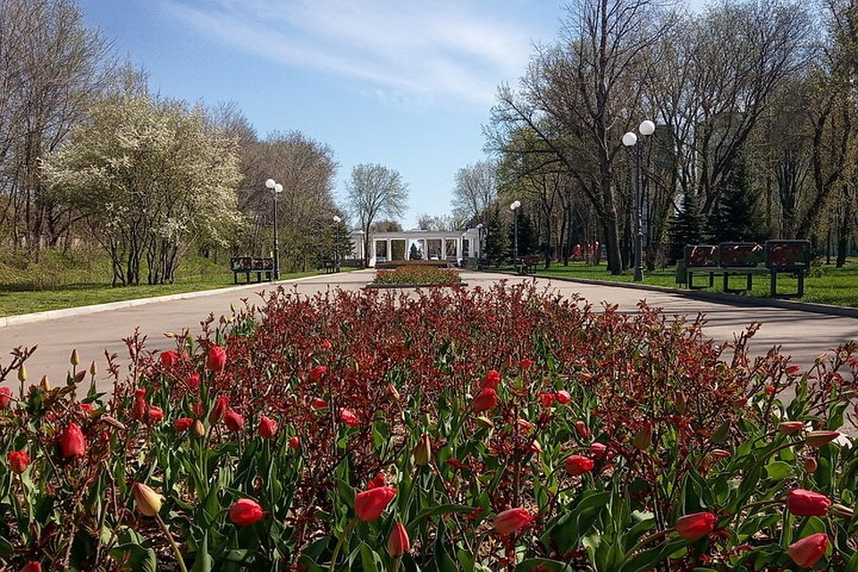 В Луганске сохранится сухая и жаркая погода. Фото: gorod-lugansk.com