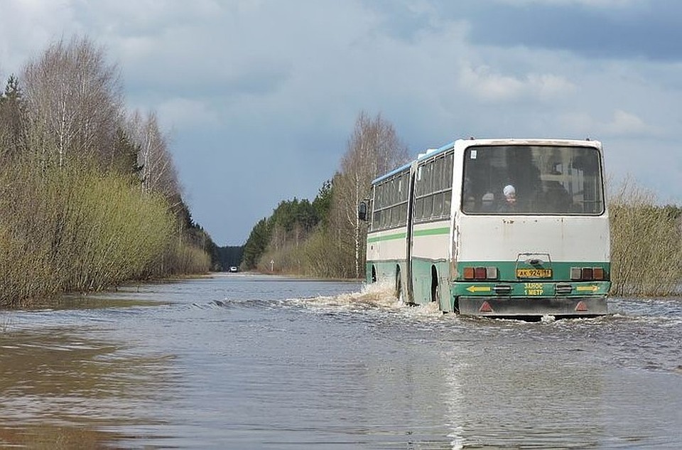 Дорогу в Алешино заливает каждый год