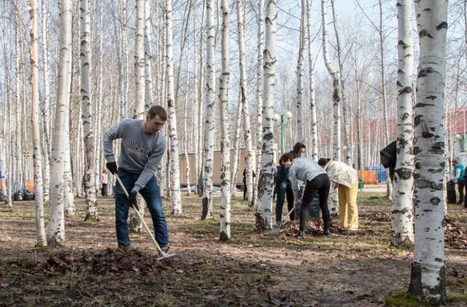 Вартовчан приглашают на субботник у Комсомольского озера. Фото с сайта администрации города Нижневартовск