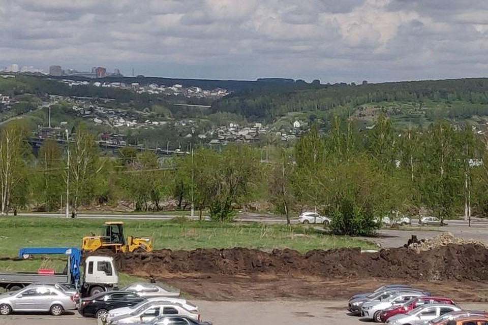 Кемеровчан возмутила массовая вырубка деревьев в центре города. ФОТО: Сергей Морозов.