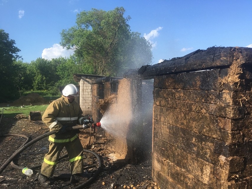 Фото: ГУ МЧС России по Орловской области.