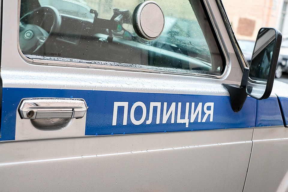 Водитель Renault Logan сбил девушку на "зебре"