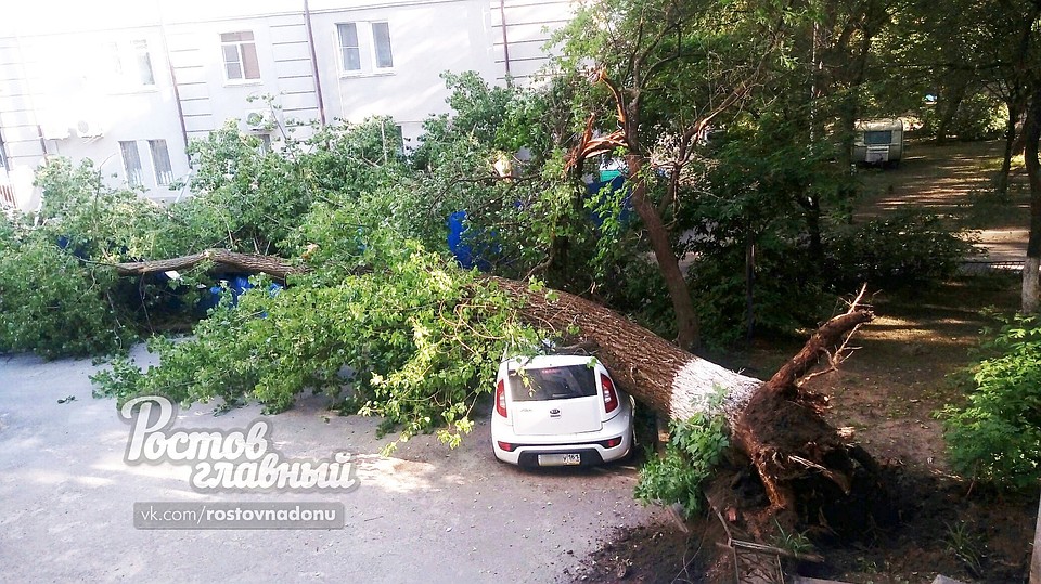 Инцидент несколько часов же обсуждают в социальных сетях. Фото: Группа Вконтакте "Ростов-Главный".