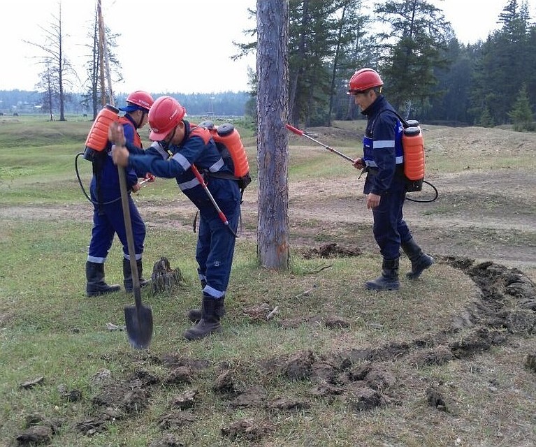 Энергетики потушили огонь и произвели противопожарную окопку опор.