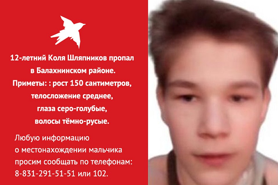 Фото: ПСО "Волонтер"