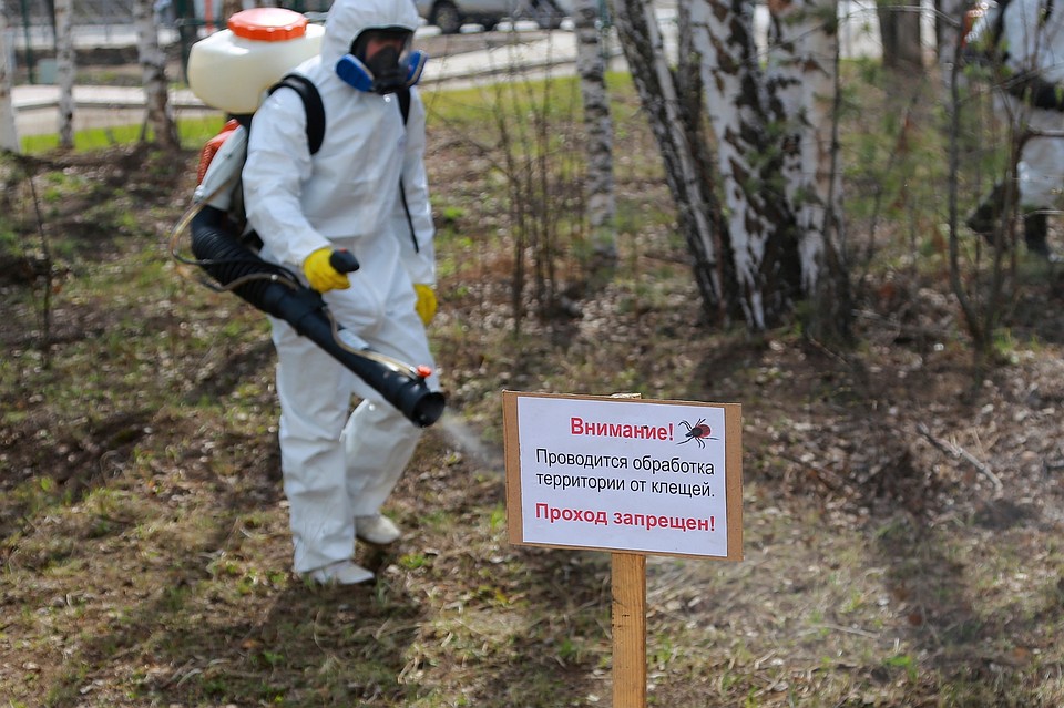 Жители частного сектора должны обрабатывать свои участки