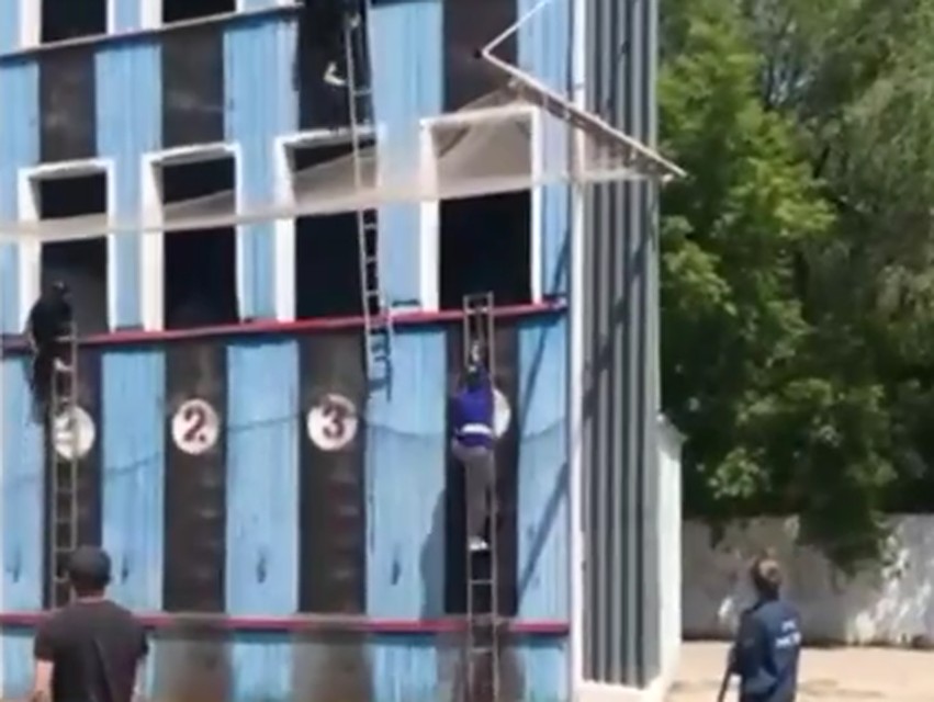 Кадр из видео